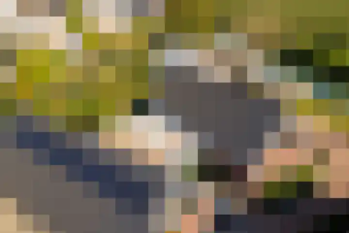 Krommerijnder 10 Wijk bij Duurstede thumbnail 42