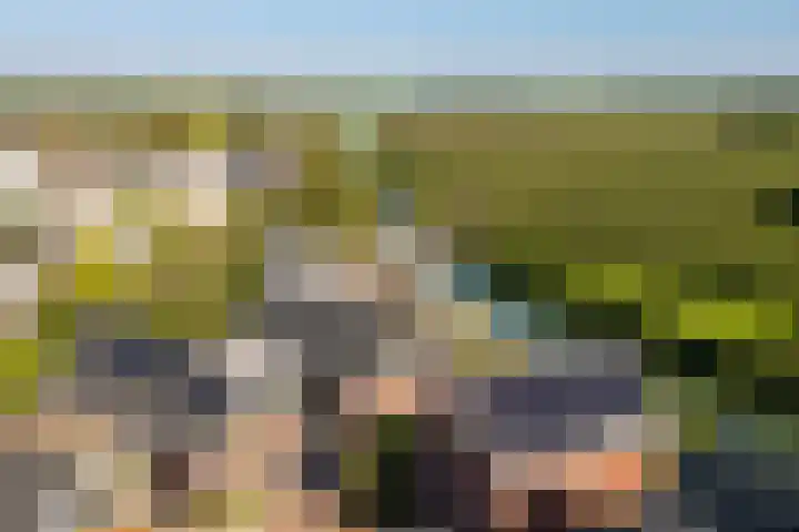 Krommerijnder 10 Wijk bij Duurstede thumbnail 44
