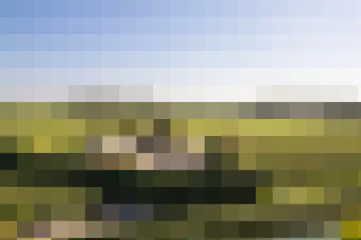 Krommerijnder 10 Wijk bij Duurstede thumbnail 45