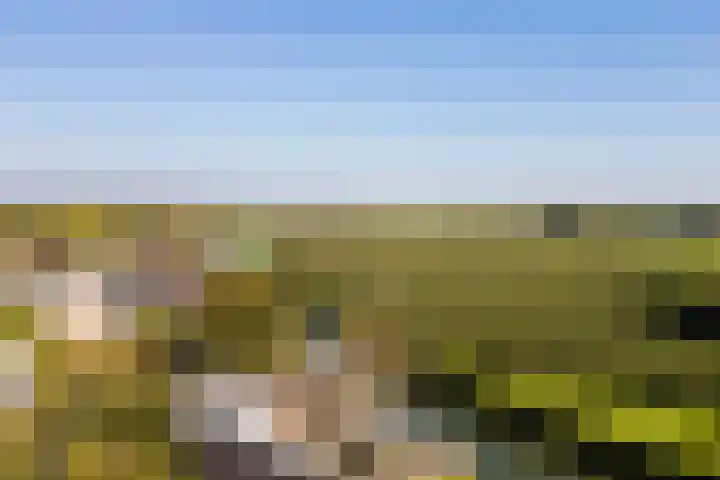 Krommerijnder 10 Wijk bij Duurstede thumbnail 46