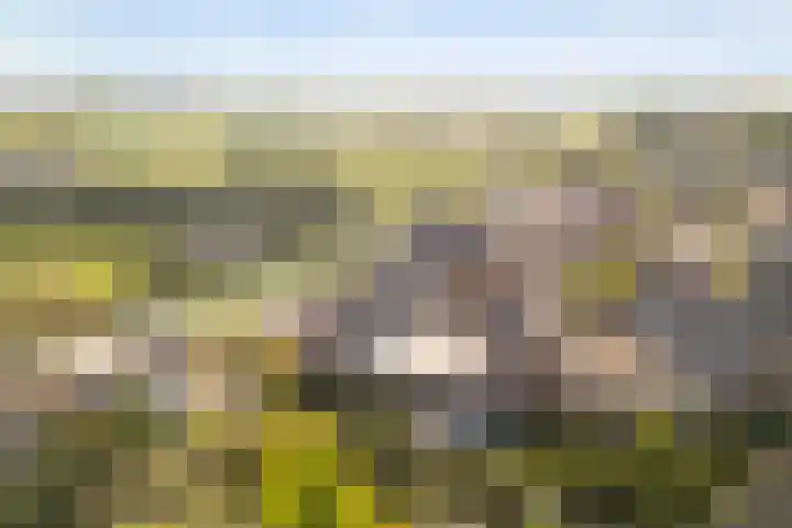 Krommerijnder 10 Wijk bij Duurstede thumbnail 47
