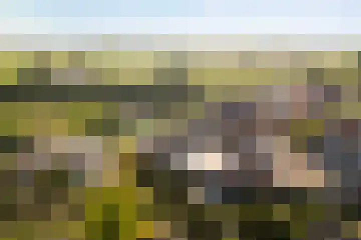 Krommerijnder 10 Wijk bij Duurstede thumbnail 48