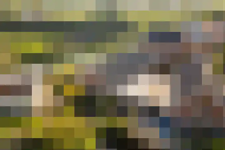 Krommerijnder 10 Wijk bij Duurstede thumbnail 50