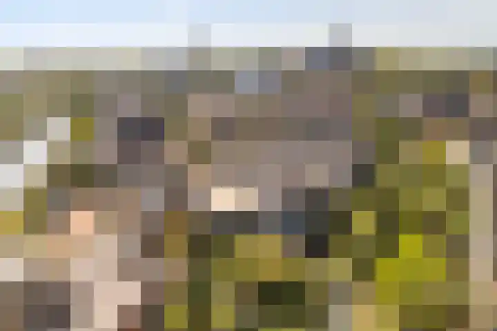 Krommerijnder 10 Wijk bij Duurstede thumbnail 51