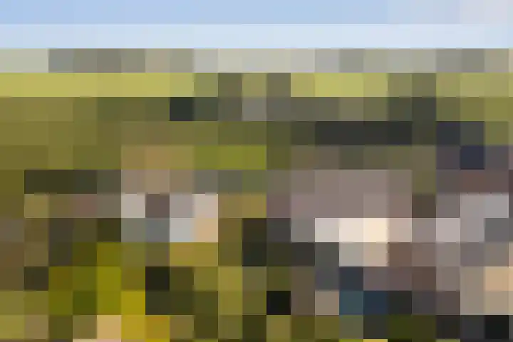 Krommerijnder 10 Wijk bij Duurstede thumbnail 52