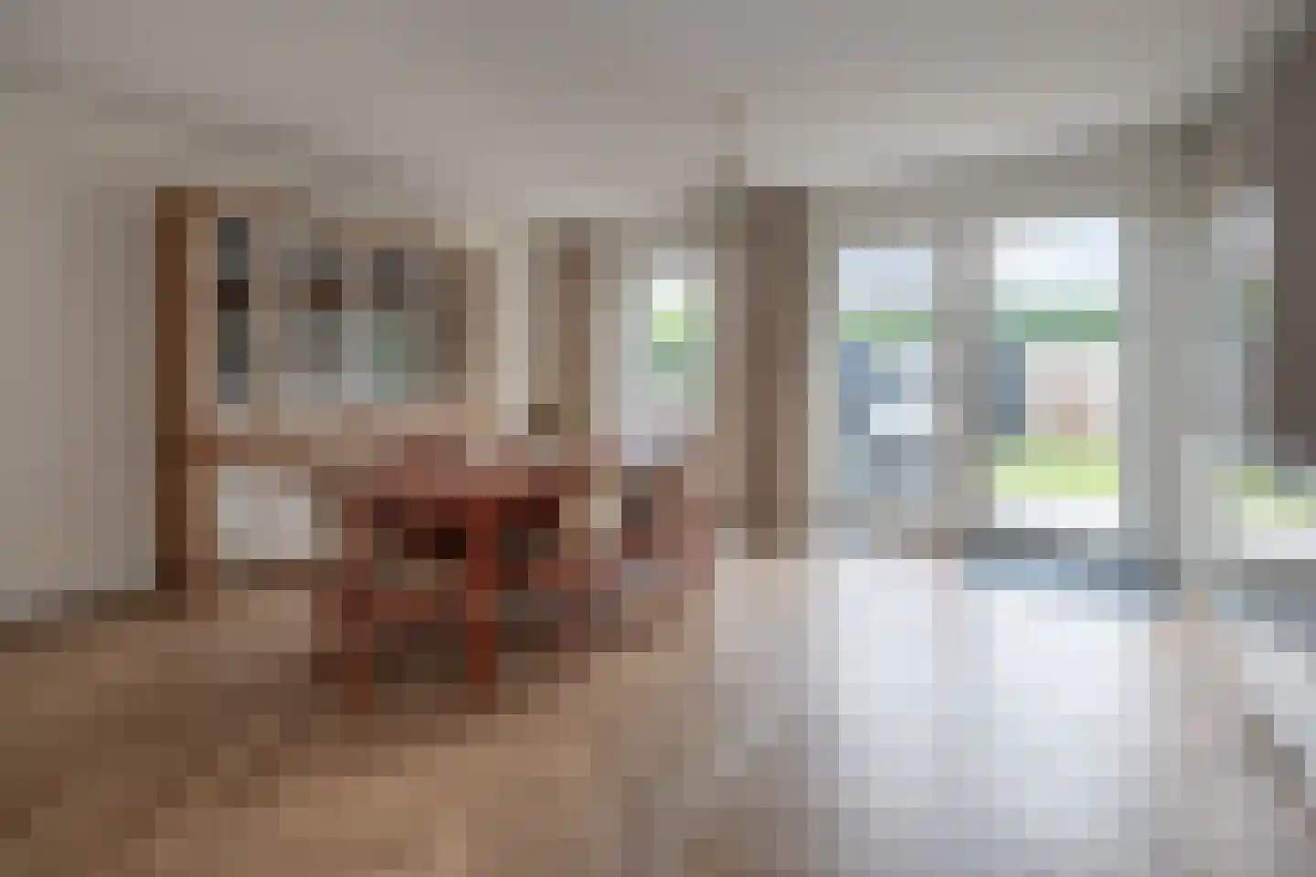 Krommerijnder 5 Odijk thumbnail 11