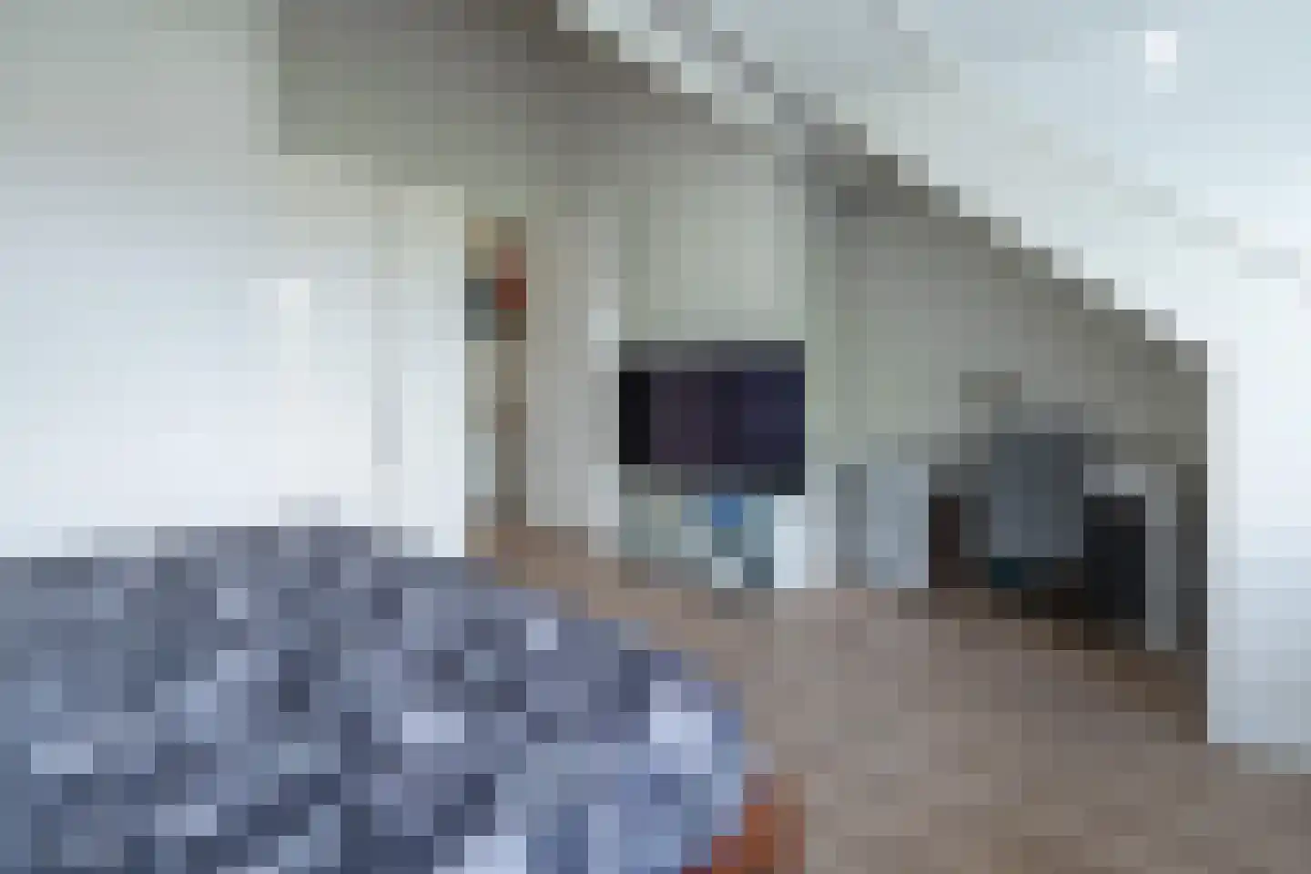 Krommerijnder 5 Odijk thumbnail 30