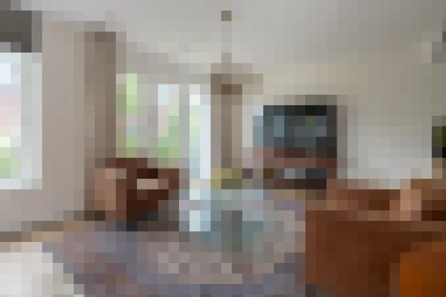 Krommerijnder 5 Odijk thumbnail 5