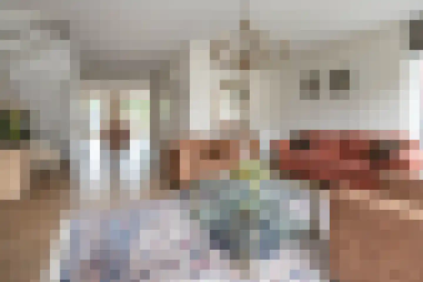 Krommerijnder 5 Odijk thumbnail 7