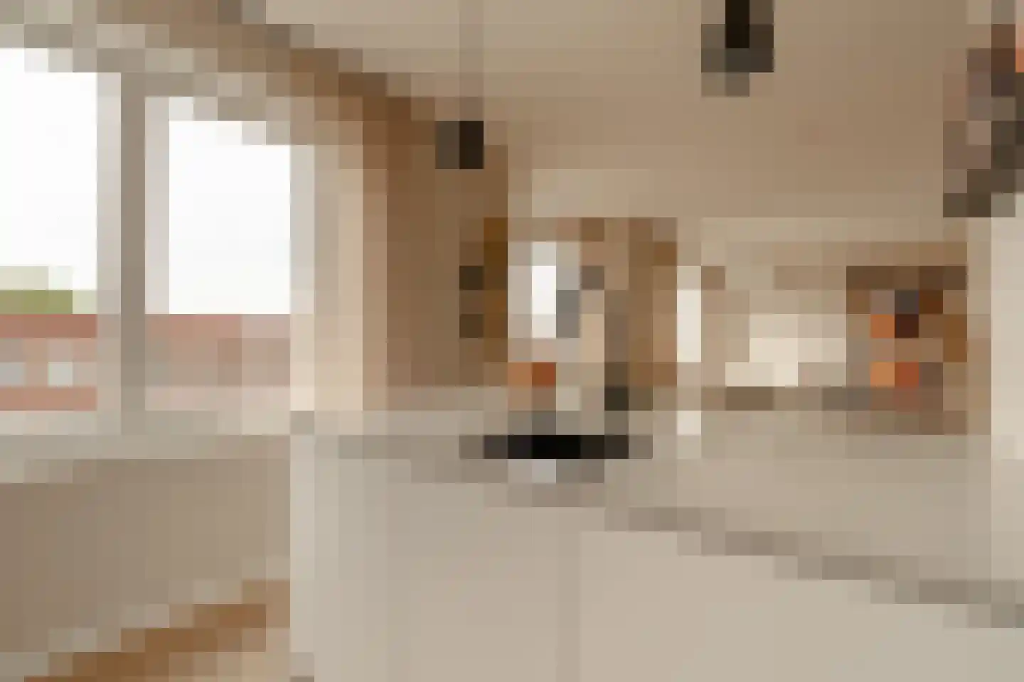 Krommertstraat 1 3 Amsterdam thumbnail 17