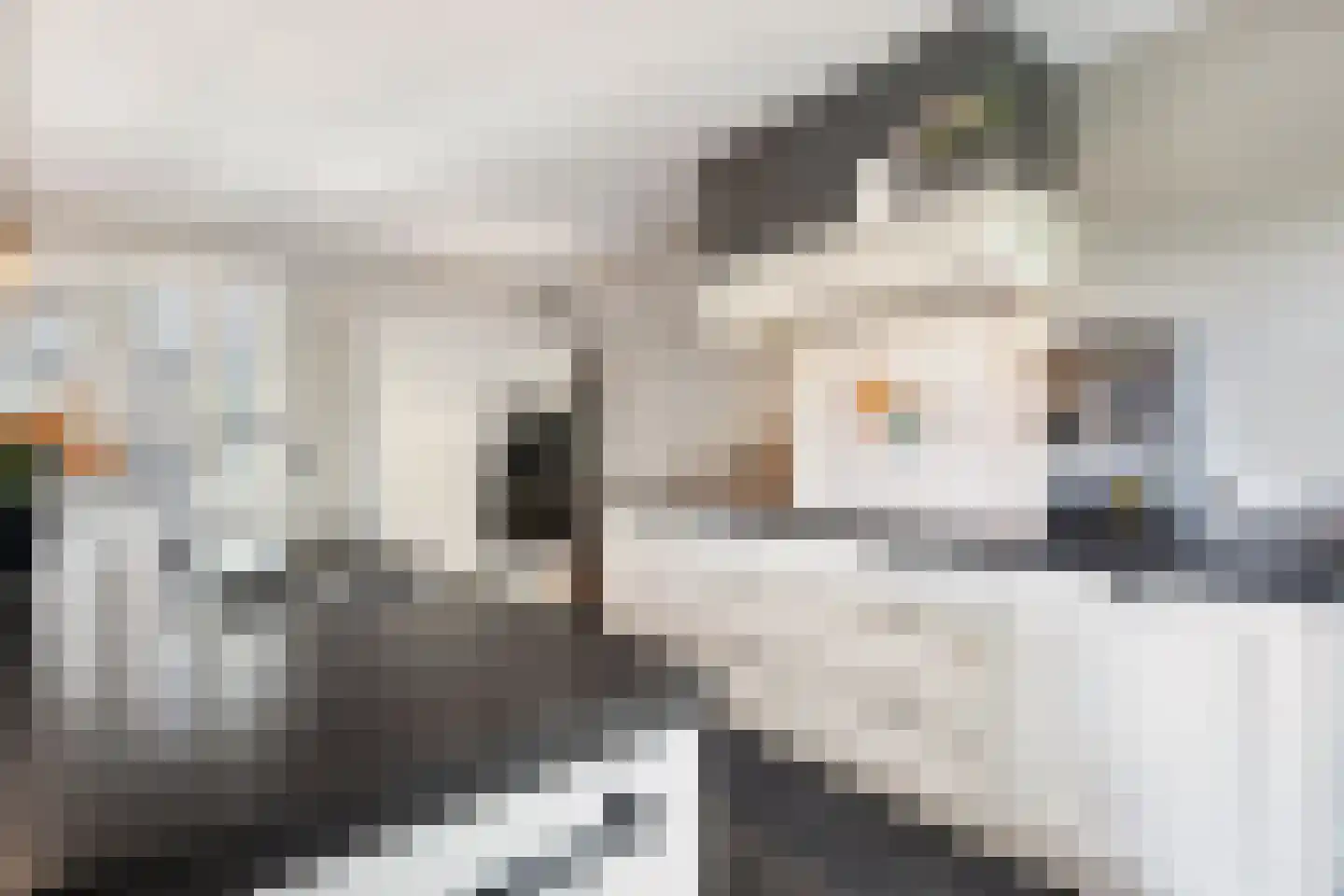 Krommesteeg 1 B Ede thumbnail 10