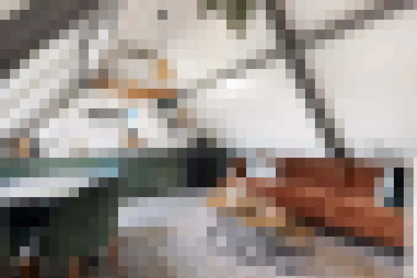 Krommesteeg 1 B Ede thumbnail 26