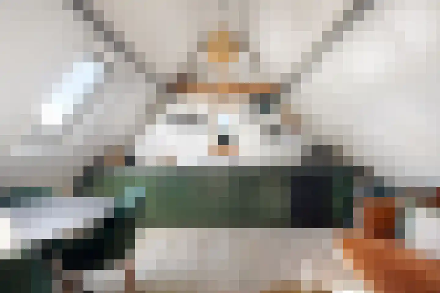 Krommesteeg 1 B Ede thumbnail 27