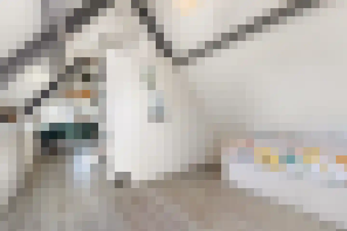 Krommesteeg 1 B Ede thumbnail 29