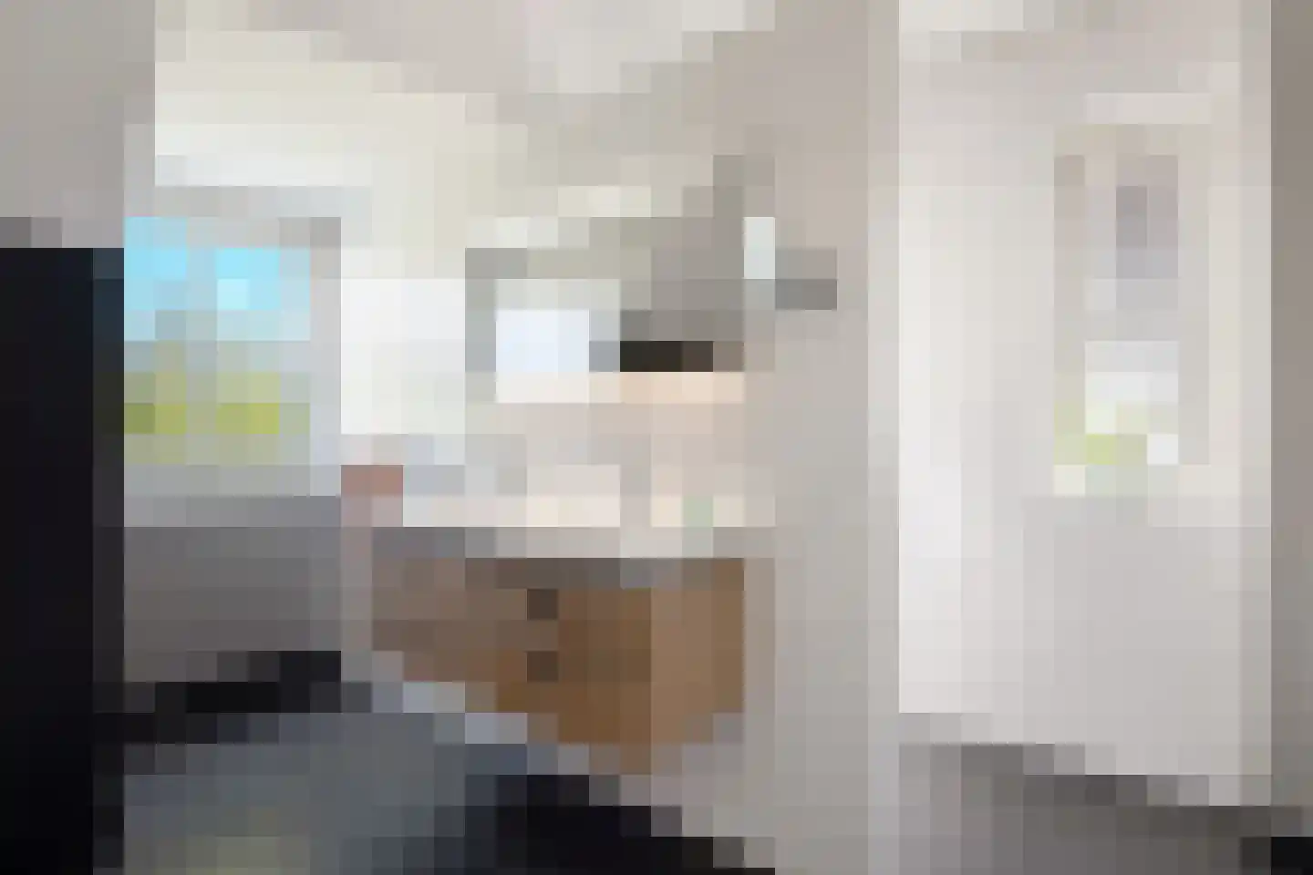 Krommesteeg 1 B Ede thumbnail 34