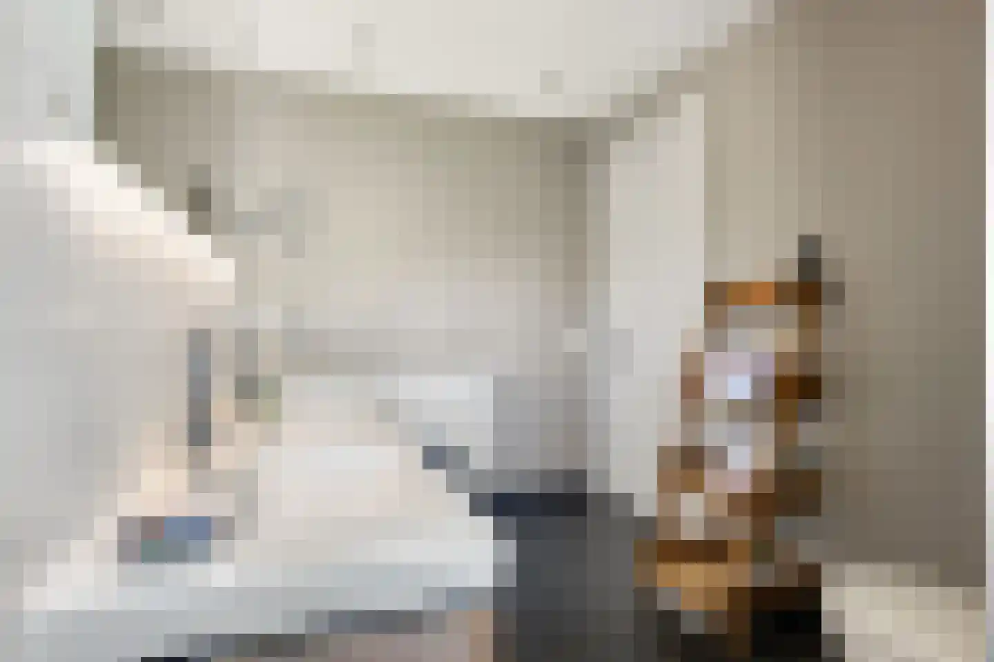 Krommesteeg 1 B Ede thumbnail 36