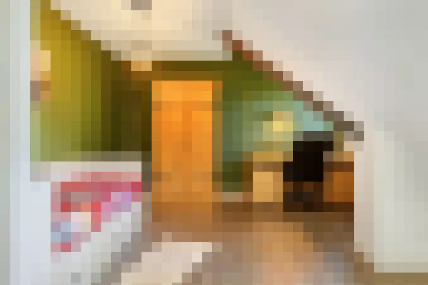 Krommesteeg 1 B Ede thumbnail 37