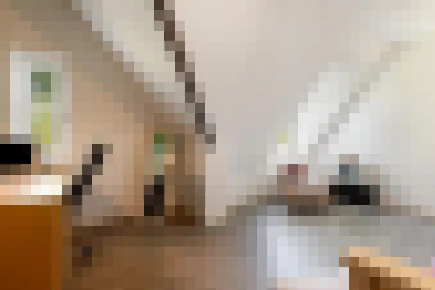 Krommesteeg 1 B Ede thumbnail 38