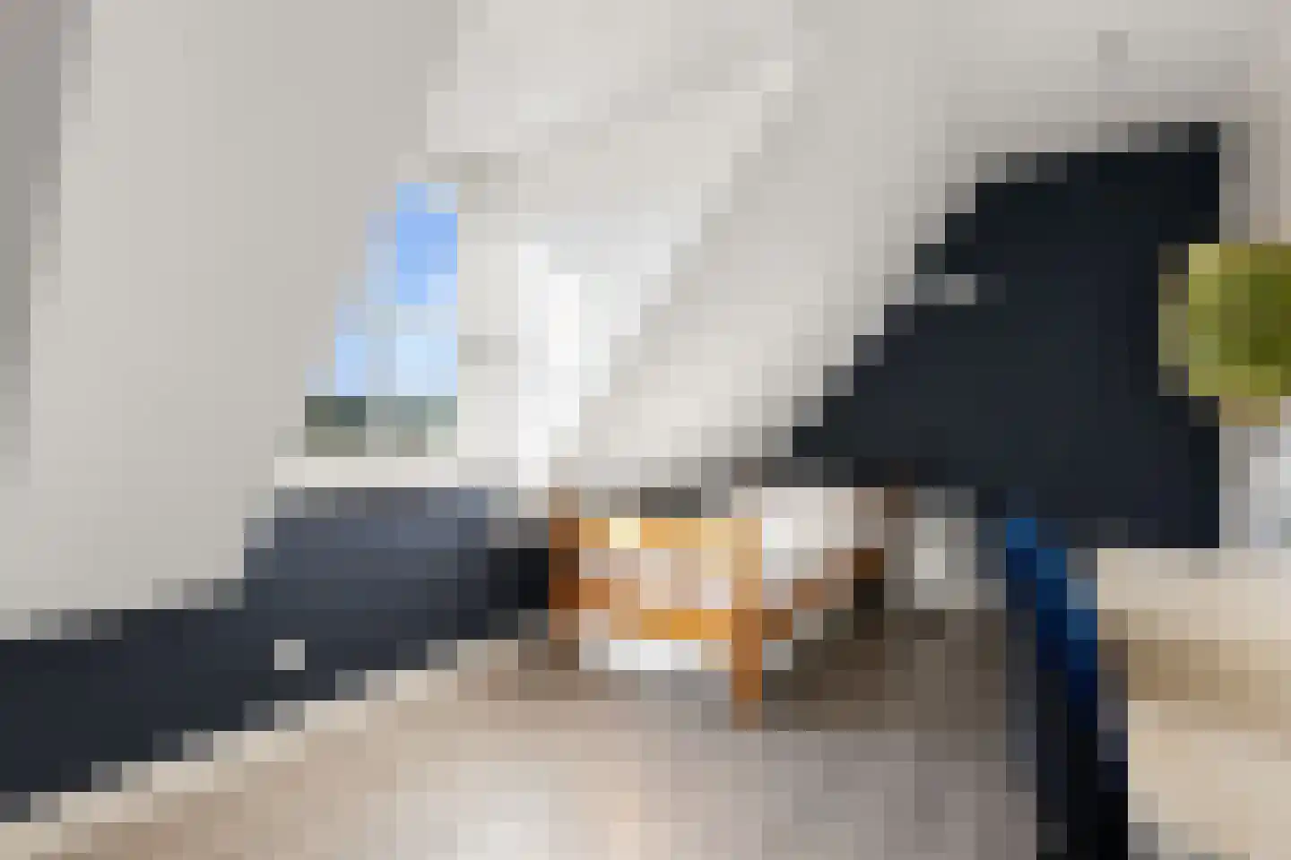 Krommesteeg 1 B Ede thumbnail 40