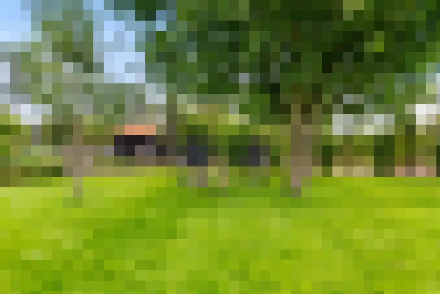 Krommesteeg 1 B Ede thumbnail 52