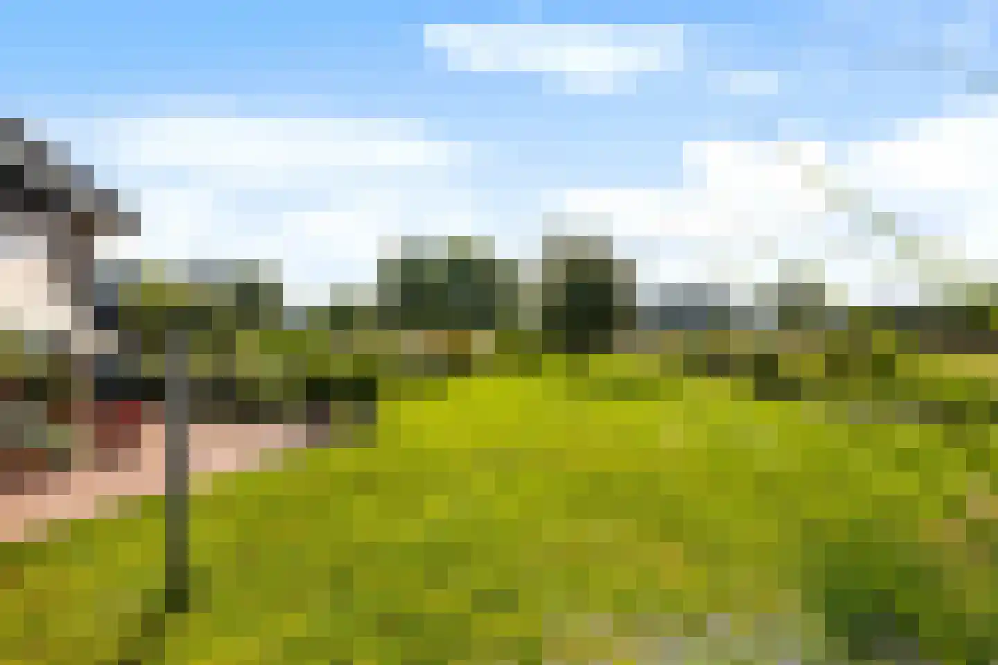 Krommesteeg 1 B Ede thumbnail 53