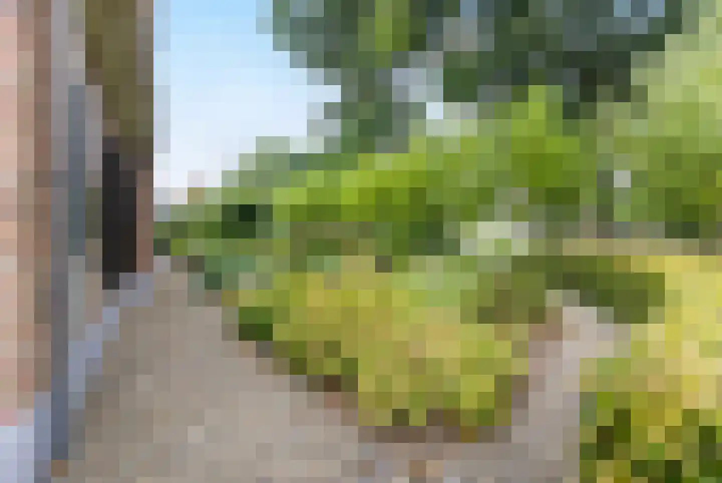Krommesteeg 1 B Ede thumbnail 59