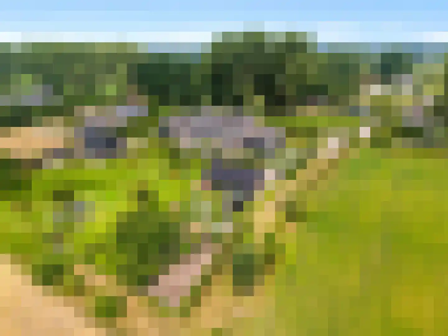Krommesteeg 1 B Ede thumbnail 6