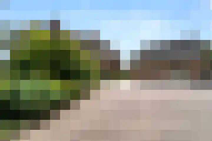 Krommesteeg 5 B Ede