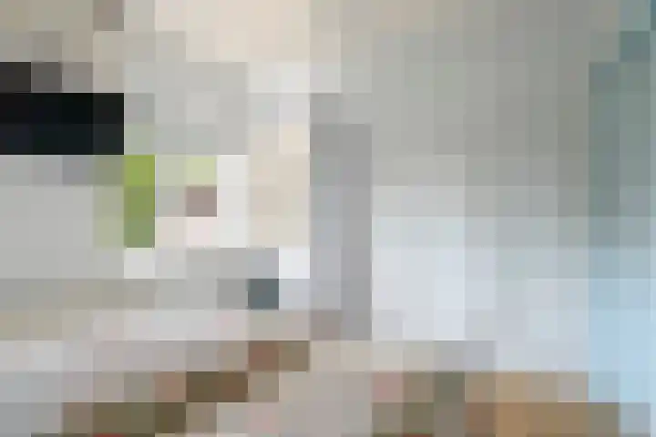 Krommesteeg 5 B Ede thumbnail 27