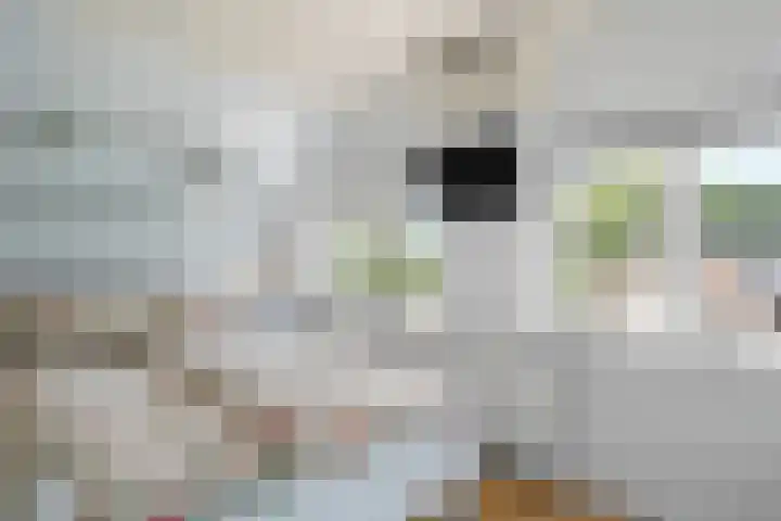 Krommesteeg 5 B Ede thumbnail 28