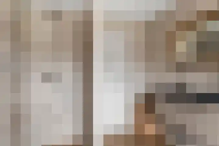 Krommesteeg 5 B Ede thumbnail 36