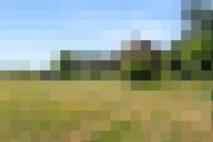 Krommesteeg 5 B Ede thumbnail 48