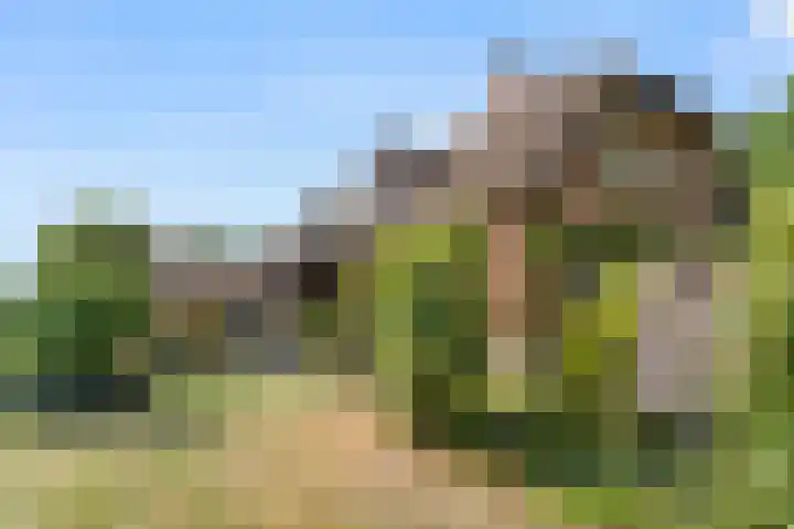 Krommesteeg 5 B Ede thumbnail 5
