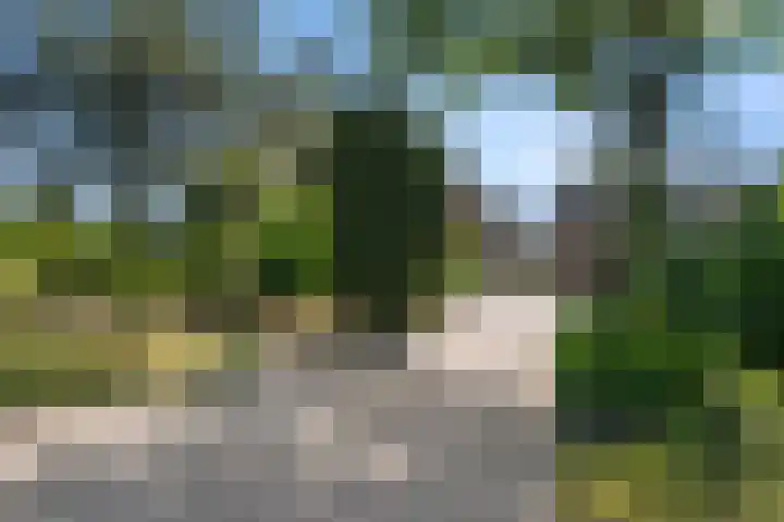 Krommesteeg 5 B Ede thumbnail 59