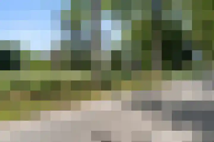 Krommesteeg 5 B Ede thumbnail 60