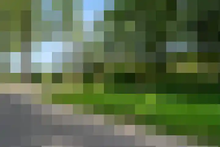 Krommesteeg 5 B Ede thumbnail 61