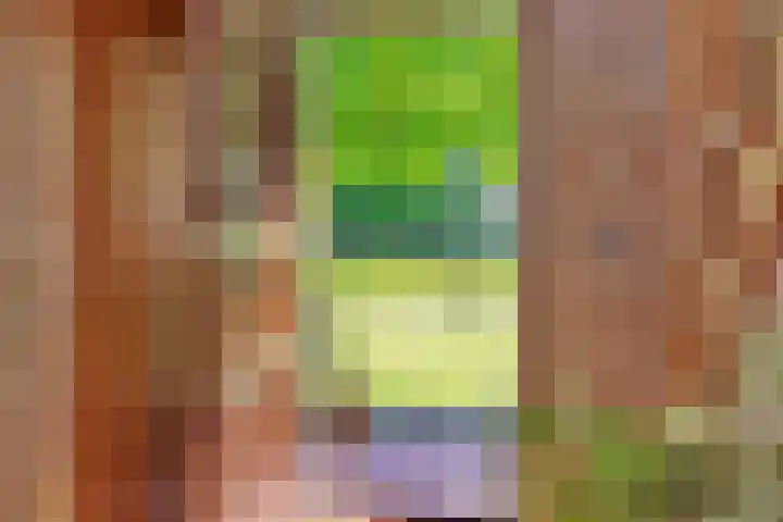 Krommesteeg 7 Beek en Donk thumbnail 13