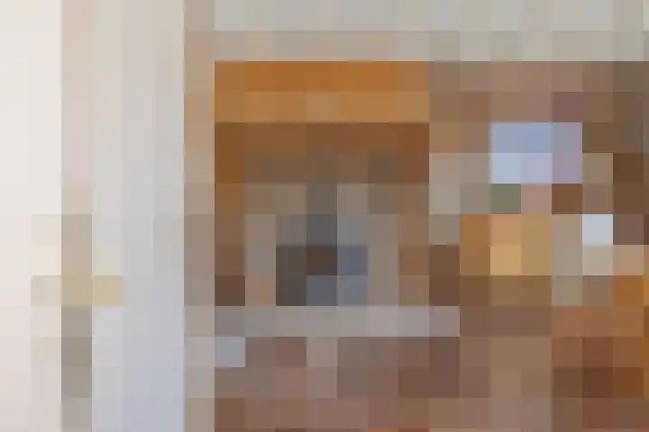 Krommesteeg 7 Beek en Donk thumbnail 16