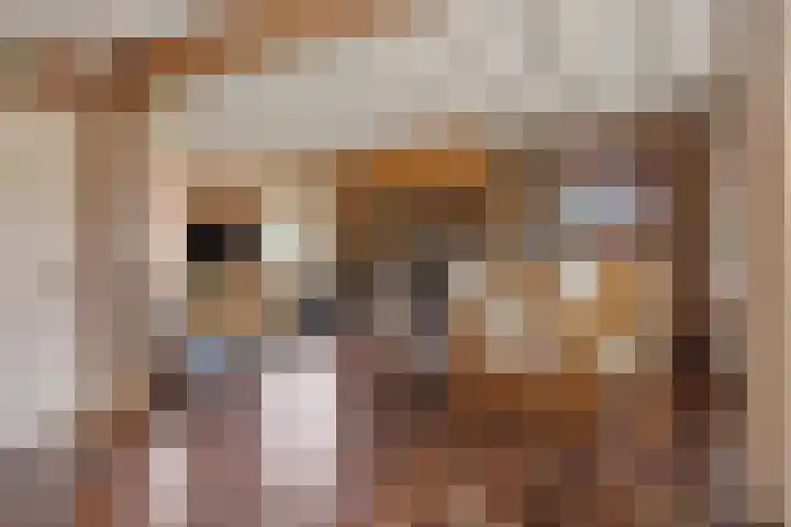Krommesteeg 7 Beek en Donk thumbnail 17