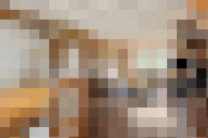 Krommesteeg 7 Beek en Donk thumbnail 19