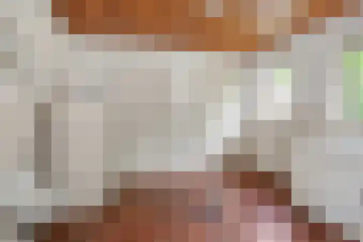 Krommesteeg 7 Beek en Donk thumbnail 24