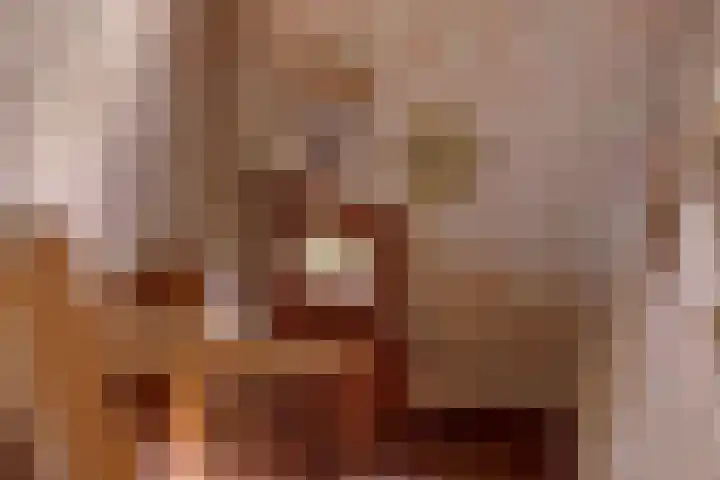 Krommesteeg 7 Beek en Donk thumbnail 27