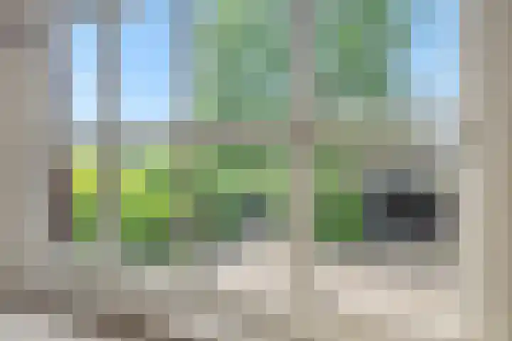 Krommesteeg 7 Beek en Donk thumbnail 32