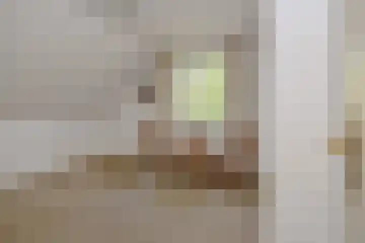 Krommesteeg 7 Beek en Donk thumbnail 33