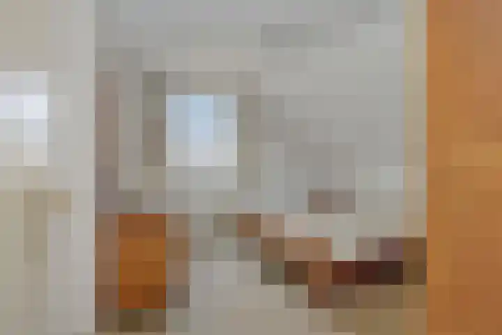 Krommesteeg 7 Beek en Donk thumbnail 35