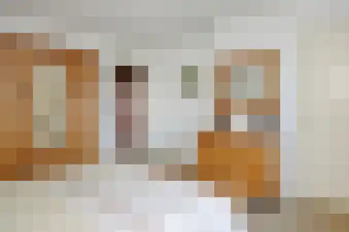 Krommesteeg 7 Beek en Donk thumbnail 36