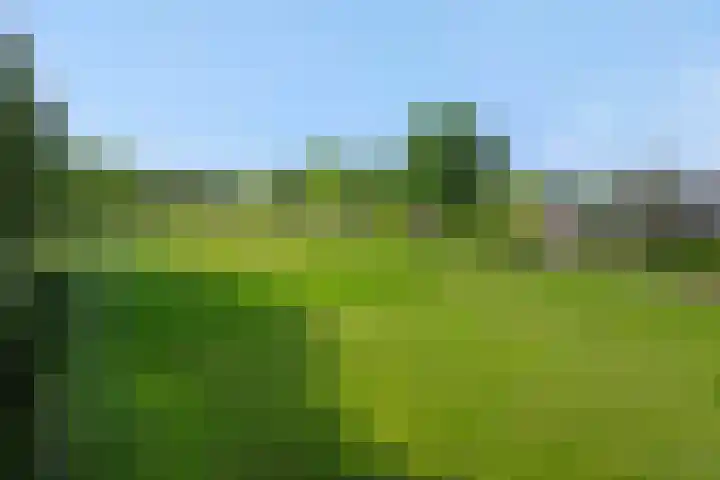 Krommesteeg 7 Beek en Donk thumbnail 4