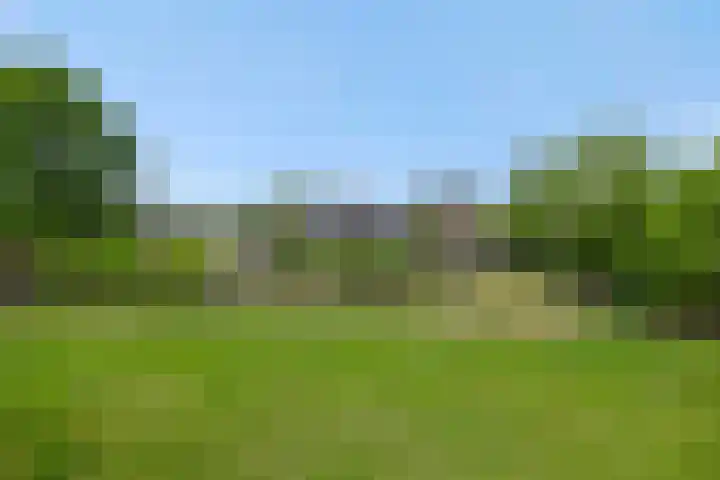 Krommesteeg 7 Beek en Donk thumbnail 41