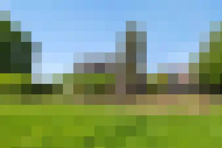 Krommesteeg 7 Beek en Donk thumbnail 42