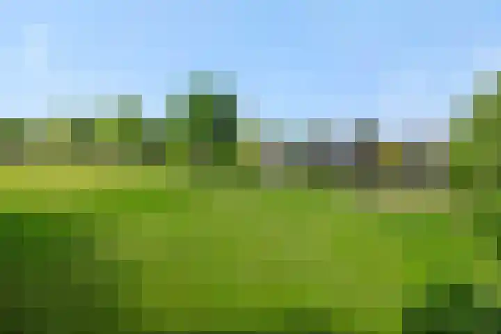 Krommesteeg 7 Beek en Donk thumbnail 43